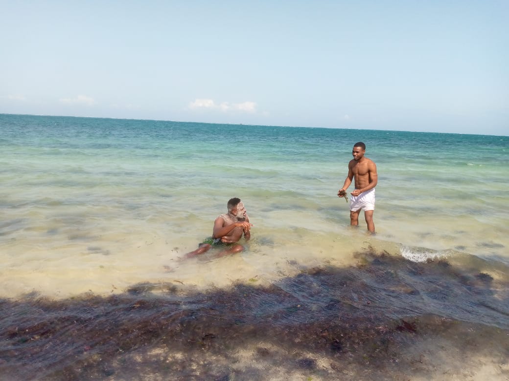 mrabai9's tweet photo. Here we are @mombasabeach after taking shawarma🤤 @MombasaBeachHot #intaract with blue nature💙 the beauty of coast
#HalaMadrid
#naturephoto
@MorrisMuthini1
@mosesabril
@EstherJoyrell
@JUSTINEMAGANG10
@Ms_Uvie
And #others welcome home🤗 https://t.co/ra1QiYGjBP