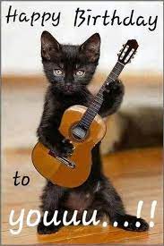 annenz6's tweet photo. @LadyandHannah https://t.co/Zq5Xp8Uj50
