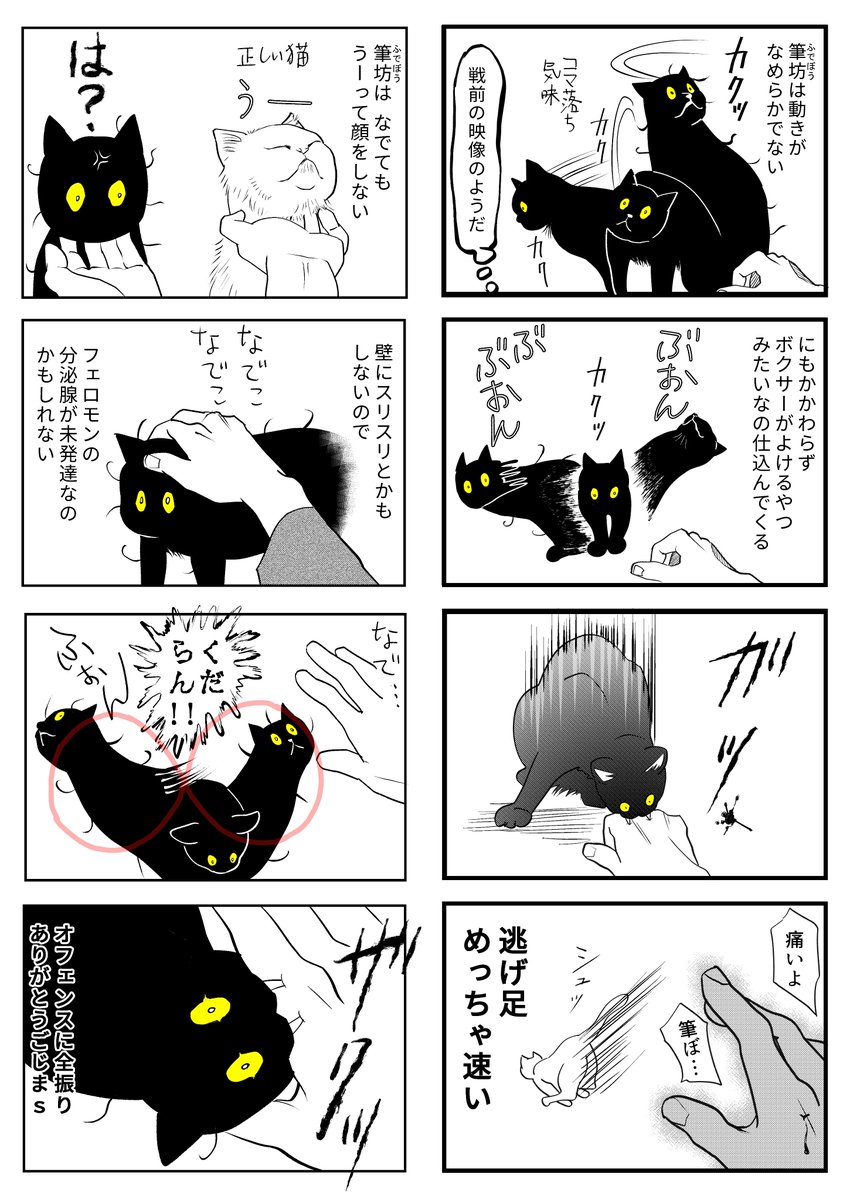 筆坊日記⑦⑧

#漫画が読めるハッシュタグ #黒猫 #ねこがいる幸せ 