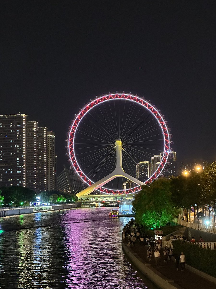 🎡