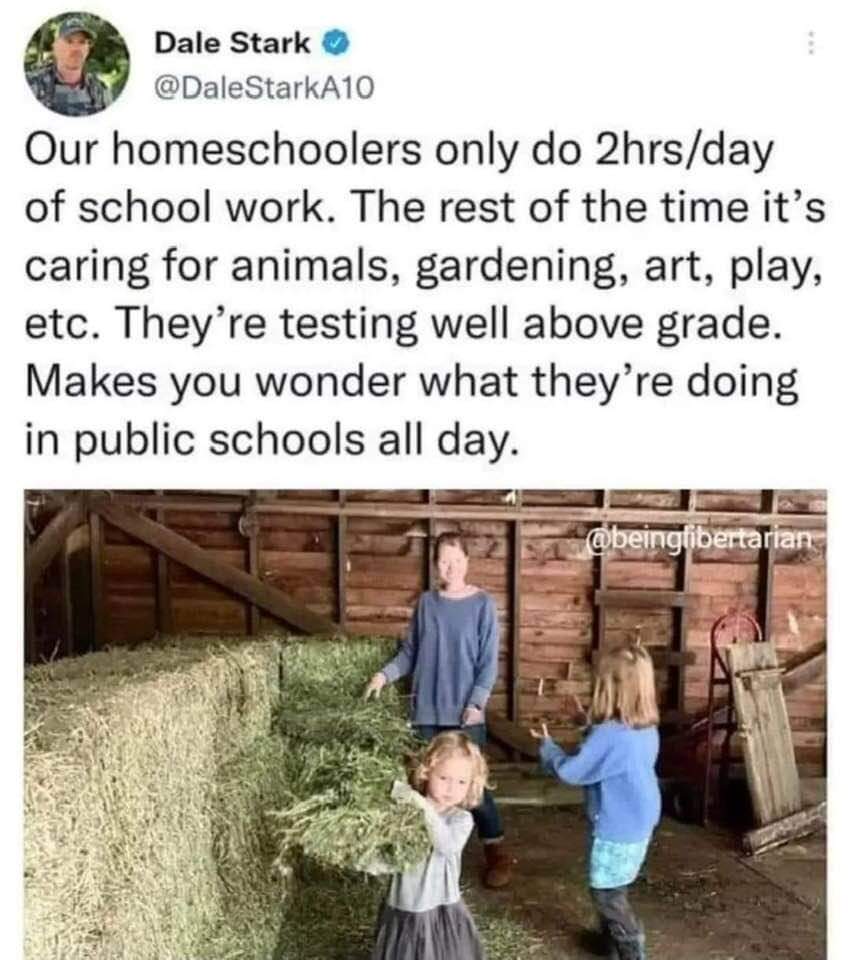 TaraBull's tweet photo. What do they do all day in public schools? https://t.co/pMu7cgxfuH