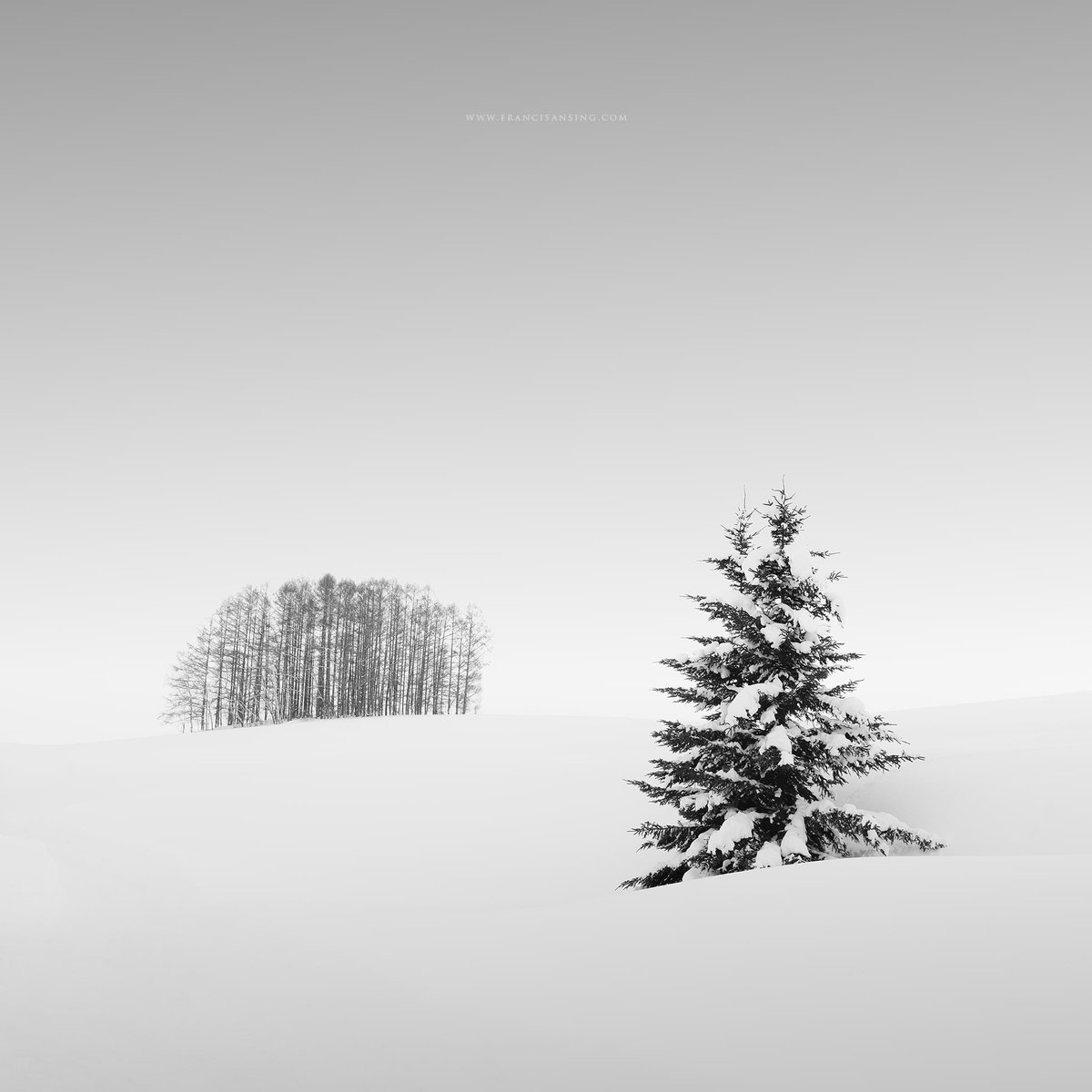 francisansing.eth | Fine Art Landscape Photography tweet media