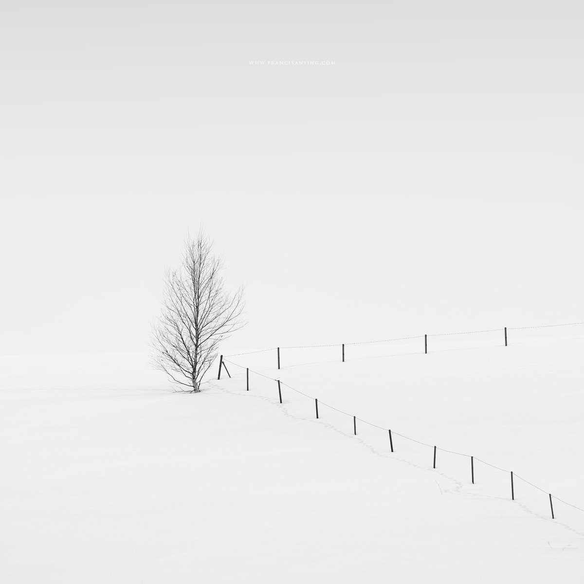 francisansing.eth | Fine Art Landscape Photography tweet media