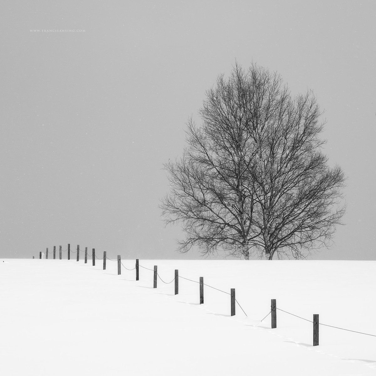 francisansing.eth | Fine Art Landscape Photography tweet media