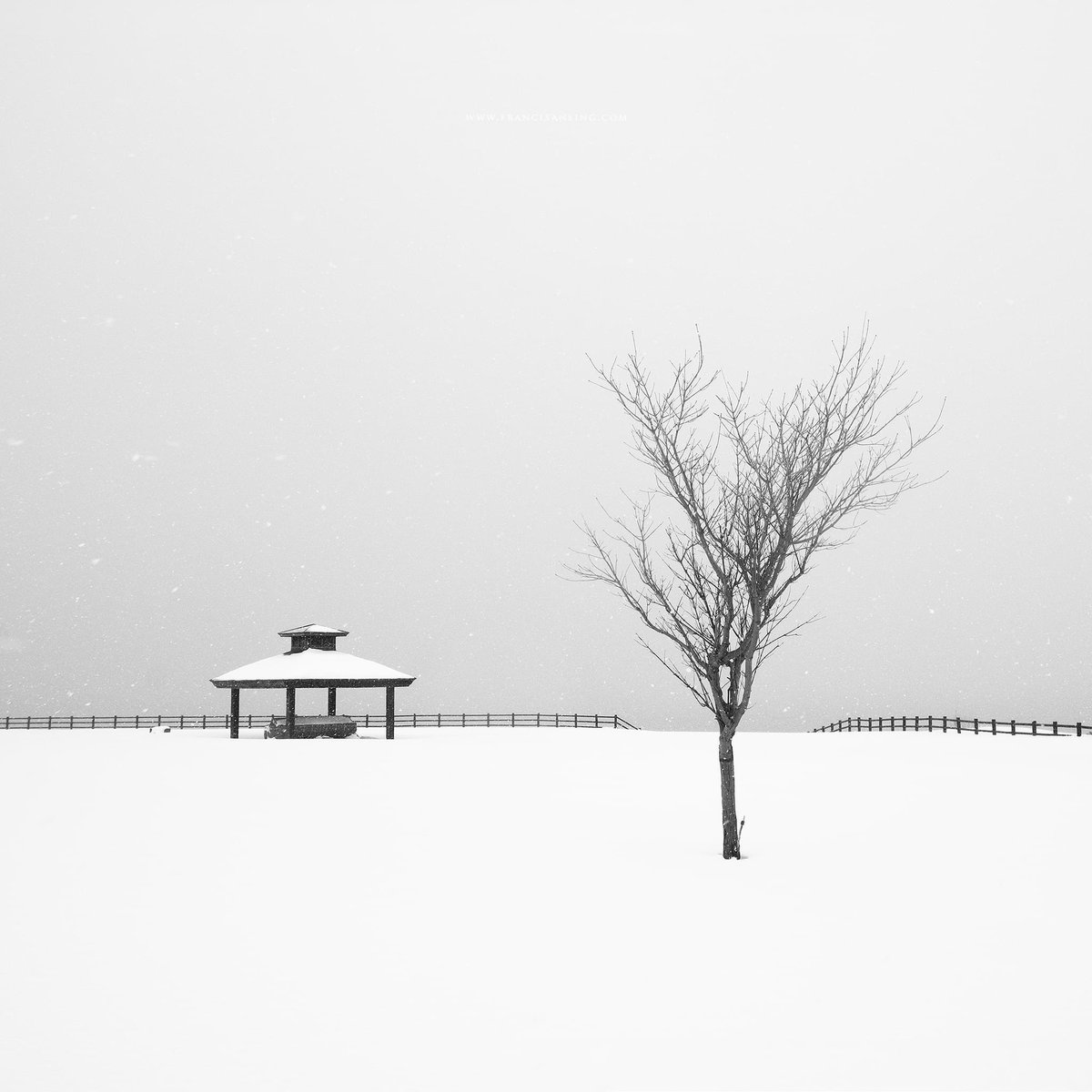 francisansing.eth | Fine Art Landscape Photography tweet media