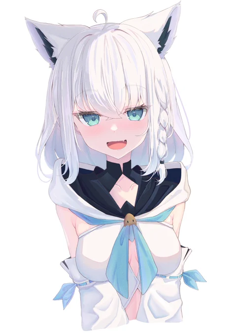 いろんな表情のフブちゃん(再掲)#絵フブキ 