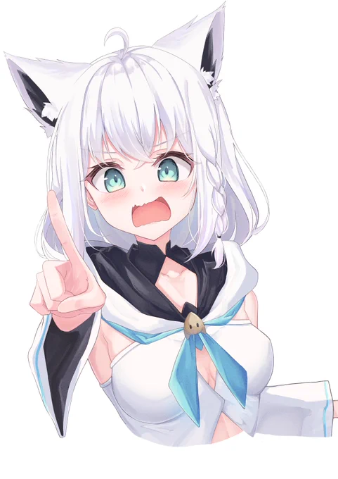 いろんな表情のフブちゃん(再掲)#絵フブキ 