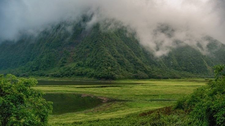 moodyonmoon's tweet image. 