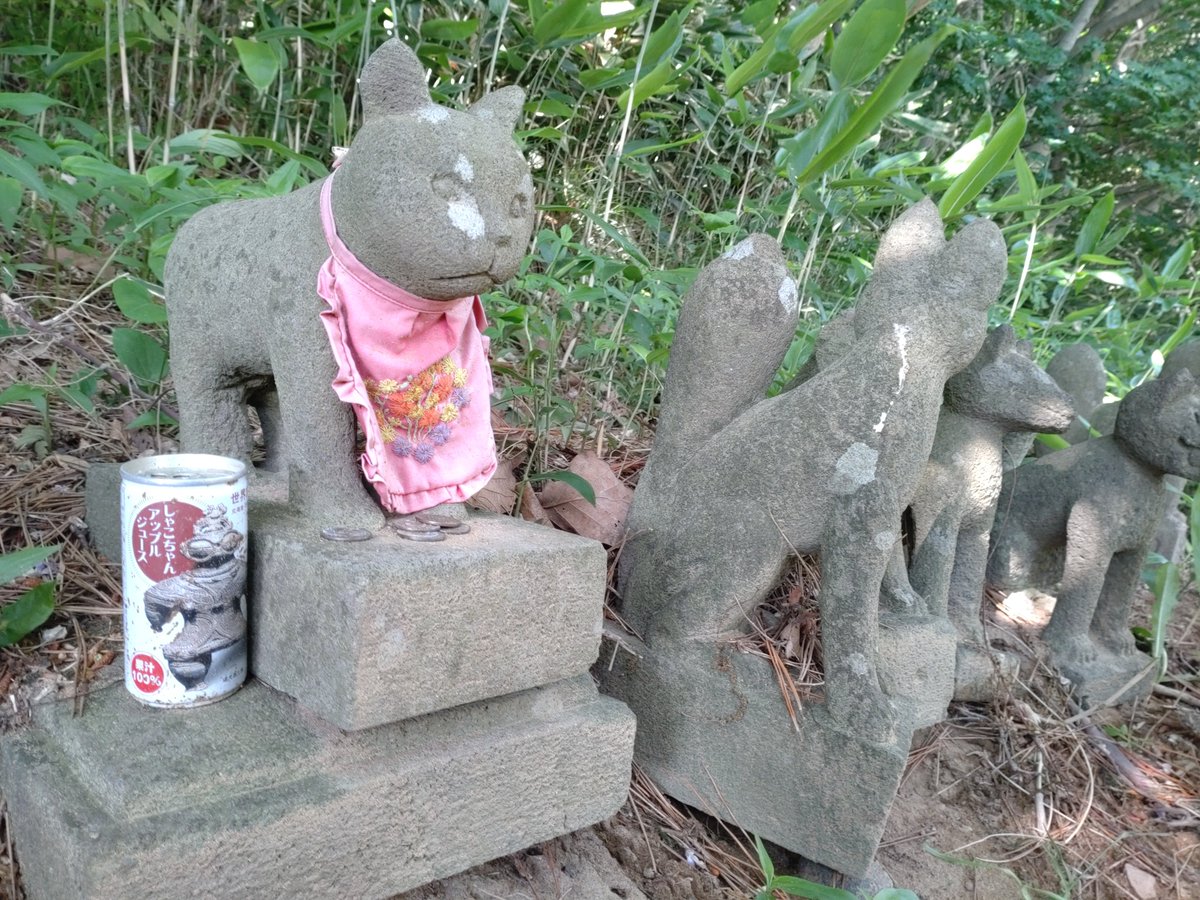 IWAMA_riki's tweet photo. キツネたちに紛れていたが、キミはおそらくネコ。高山稲荷神社（青森県つがる市）。 https://t.co/P50hM3WBX7