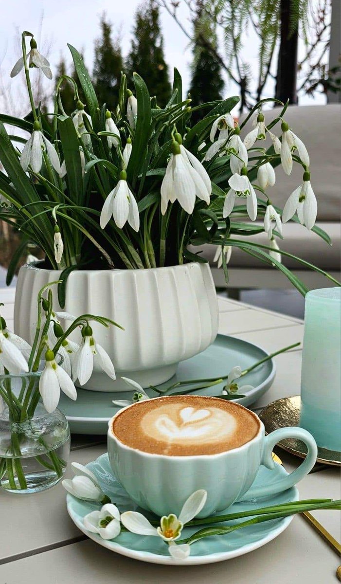 Alter_Space's tweet image. Good Morning!
Today it&apos;s all about coffee. Now. 🧐
#SundayStuff #WritersLife #Coffee