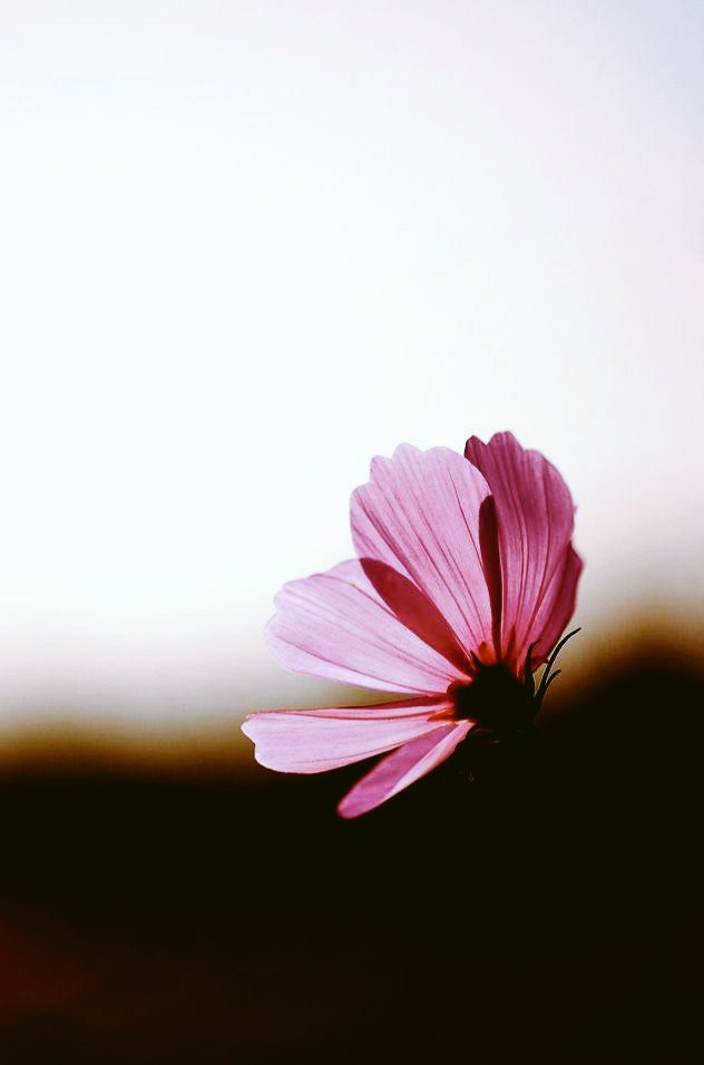 M2002000200 tweet picture