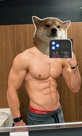 basedselfiedog's tweet photo. @sagexbabyx $BSELFIE! The selfie dog is now on Base. Come and join us!
 https://t.co/rwZ6SKY5J7 https://t.co/ljSd68DAH4