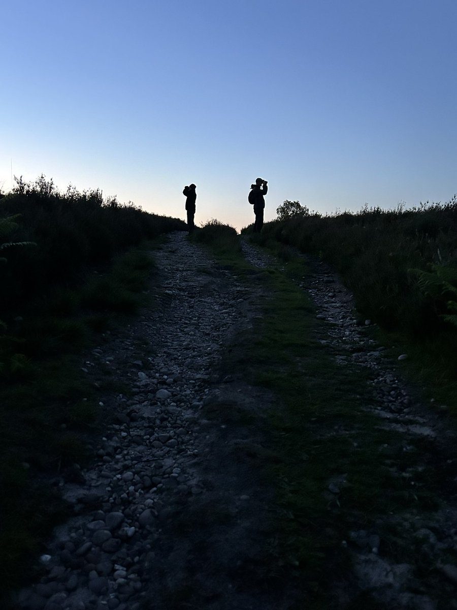sec_462's tweet photo. Good walk on Cannock Chase yesterday w/ @rbstrng &amp; @MRPittaway Hobby, Cuckoo, Woodcock and Nightjar all showed nicely. https://t.co/i6RI23dTRk