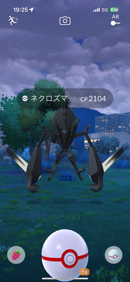 blackvell88's tweet photo. ( ﾟдﾟ)ﾊｯ! 
こっこれは？？
#ポケモンGO
#ポケモンGOフェス2024 https://t.co/kD6isp14eR