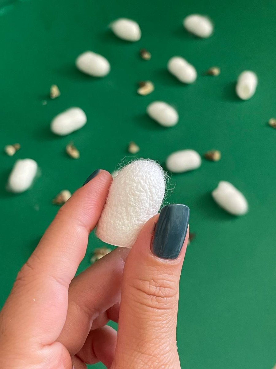 Marish➰ tweet media