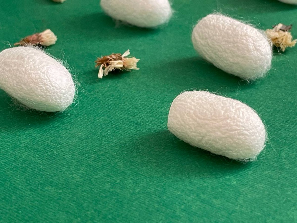 Marish➰ tweet media