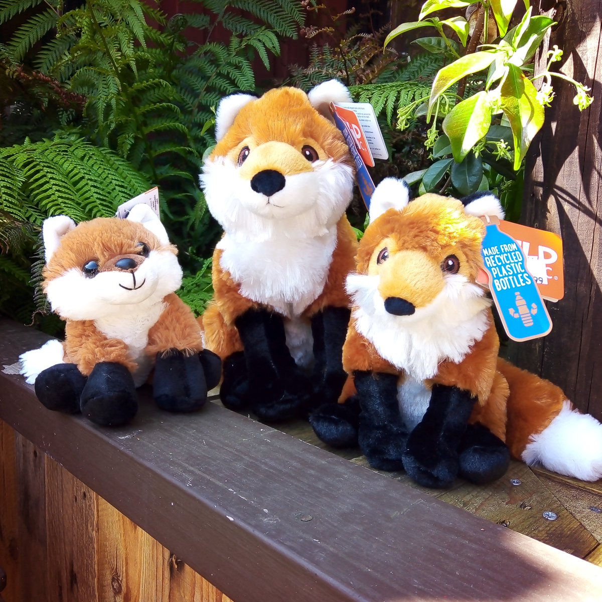 Some new🦊foxy friends now available in our gift shop!
