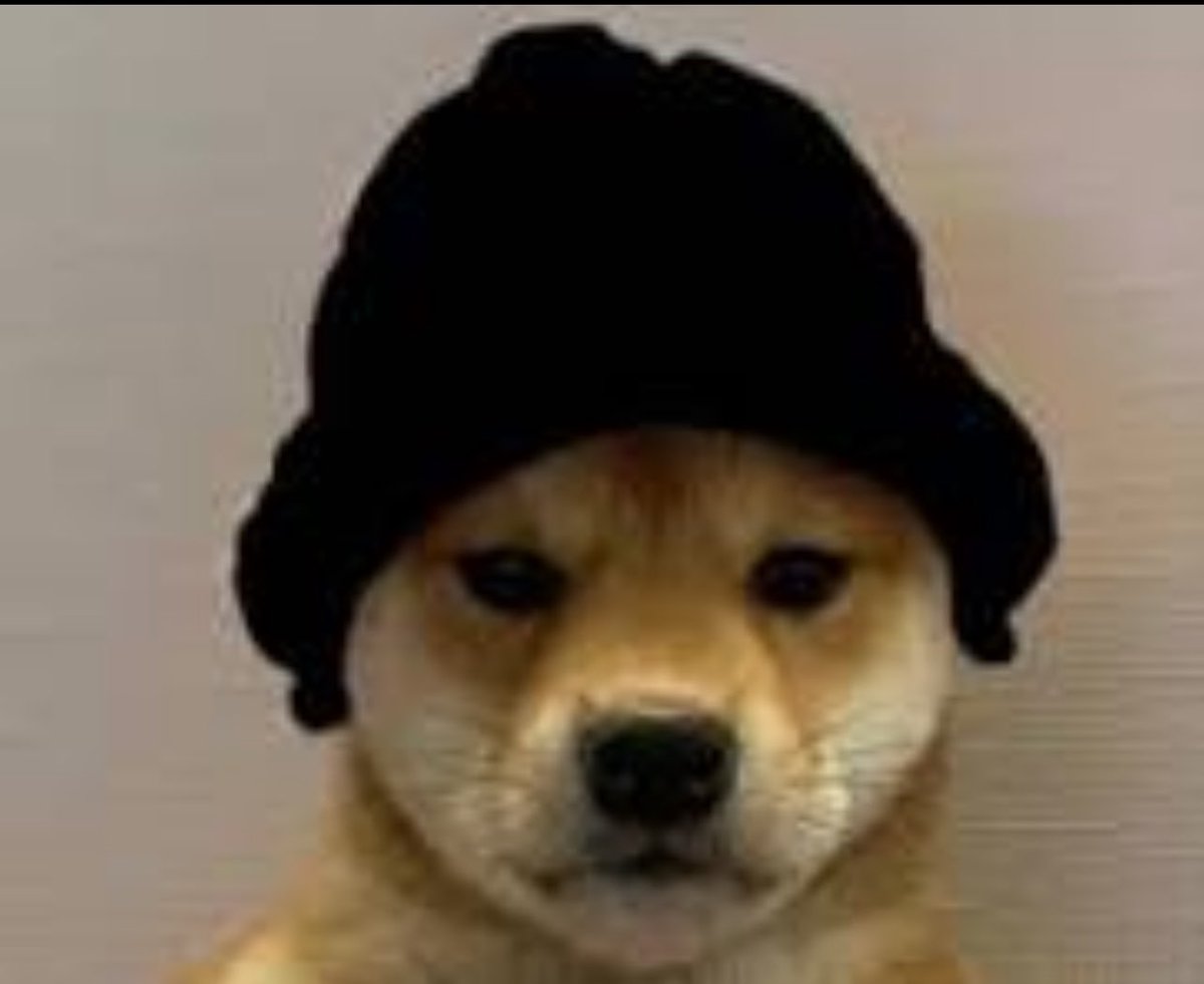 Adam 🌬️ tweet media