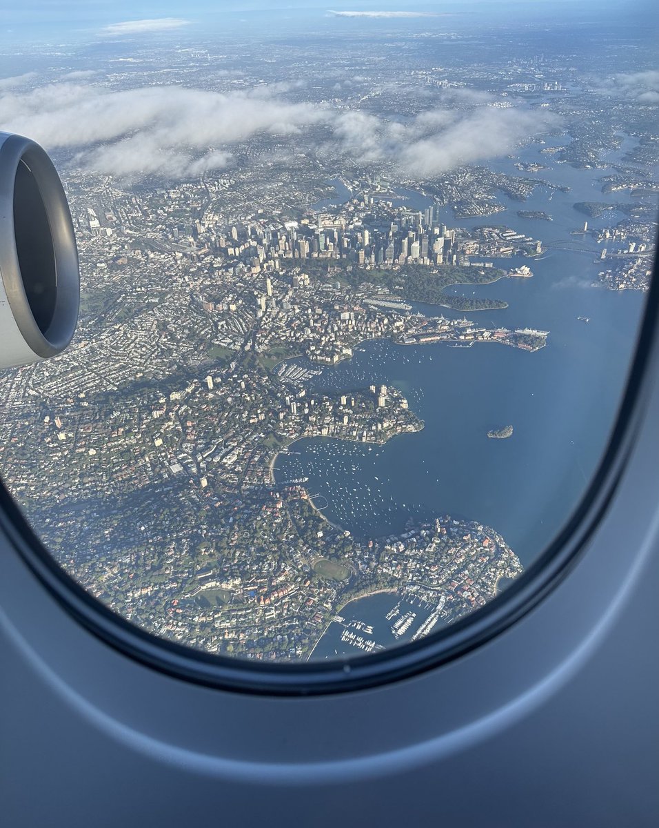 Steve Wilson tweet media