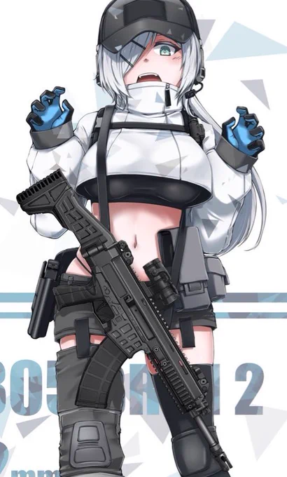 #武装少女を無言で貼ると同士がフォローする 