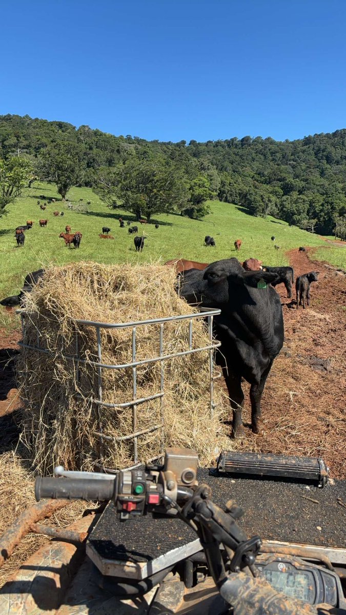 BmxNorris's tweet photo. Good weekend on the farm, nice long on NOT to top it off aswell. Big week ahead boys let’s lock in. https://t.co/exiQ9aHK7t