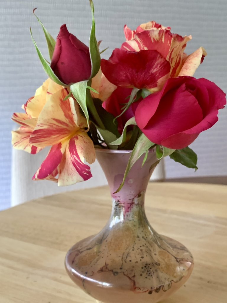 MadameVache's tweet photo. Today’s roses from the garden.#Gardening #Flowers #TinyVases
🌹♥️🌹 https://t.co/ToZBNBypFo