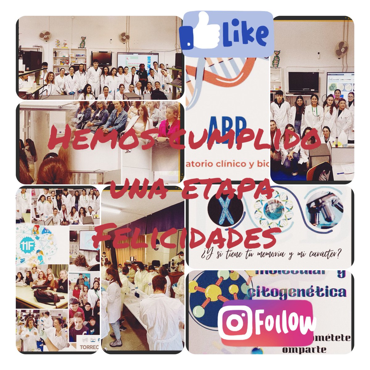 !!!!Gracias !!!! Un curso completo de retos y de proyectos cumplidos #visualizateFP