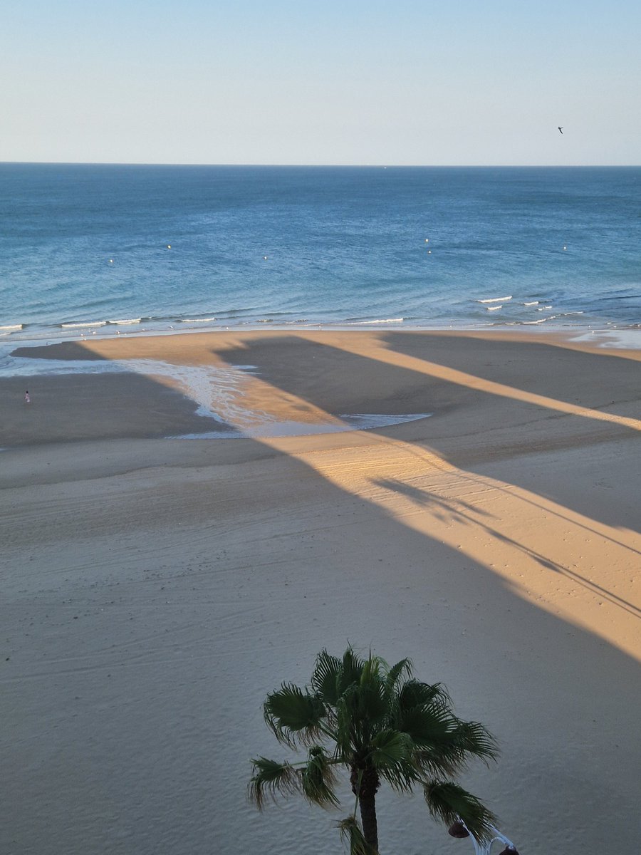 sdzafra's tweet photo. El mar que más me gusta es el de las olas rompiendo en la arena #atlanticamente #PlayaVictoria https://t.co/AnM1GW7Q1k