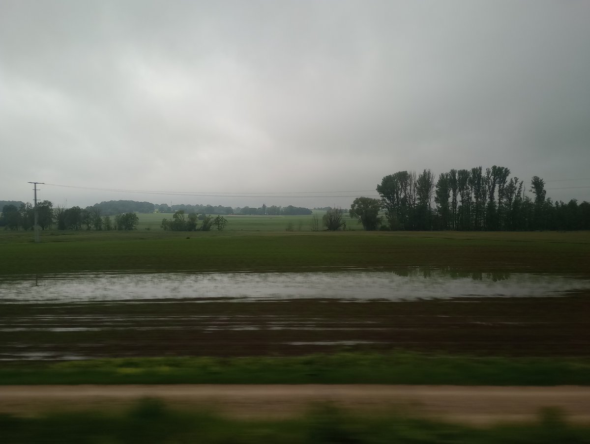 Sparrersway's tweet photo. #viewfromthetrain https://t.co/AyuzhcHZa3