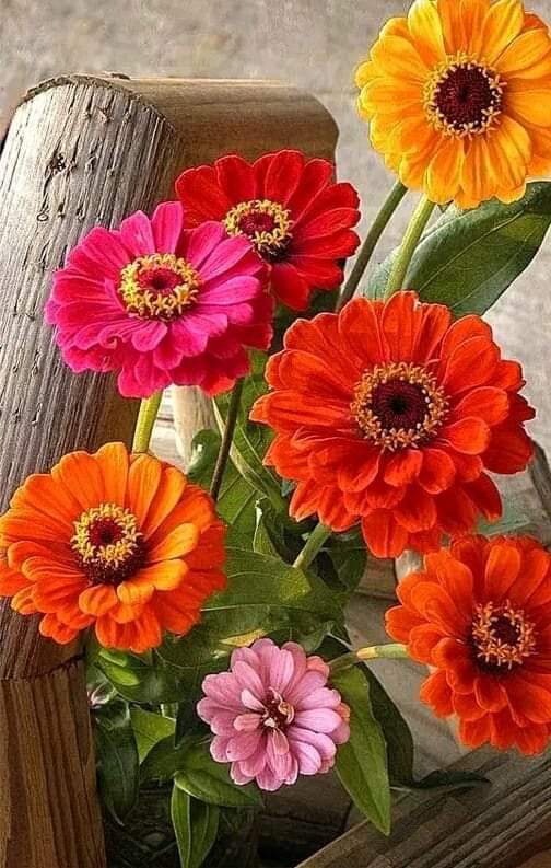 OMarlene094527's tweet photo. Sunday. https://t.co/FKxnFAyEhk