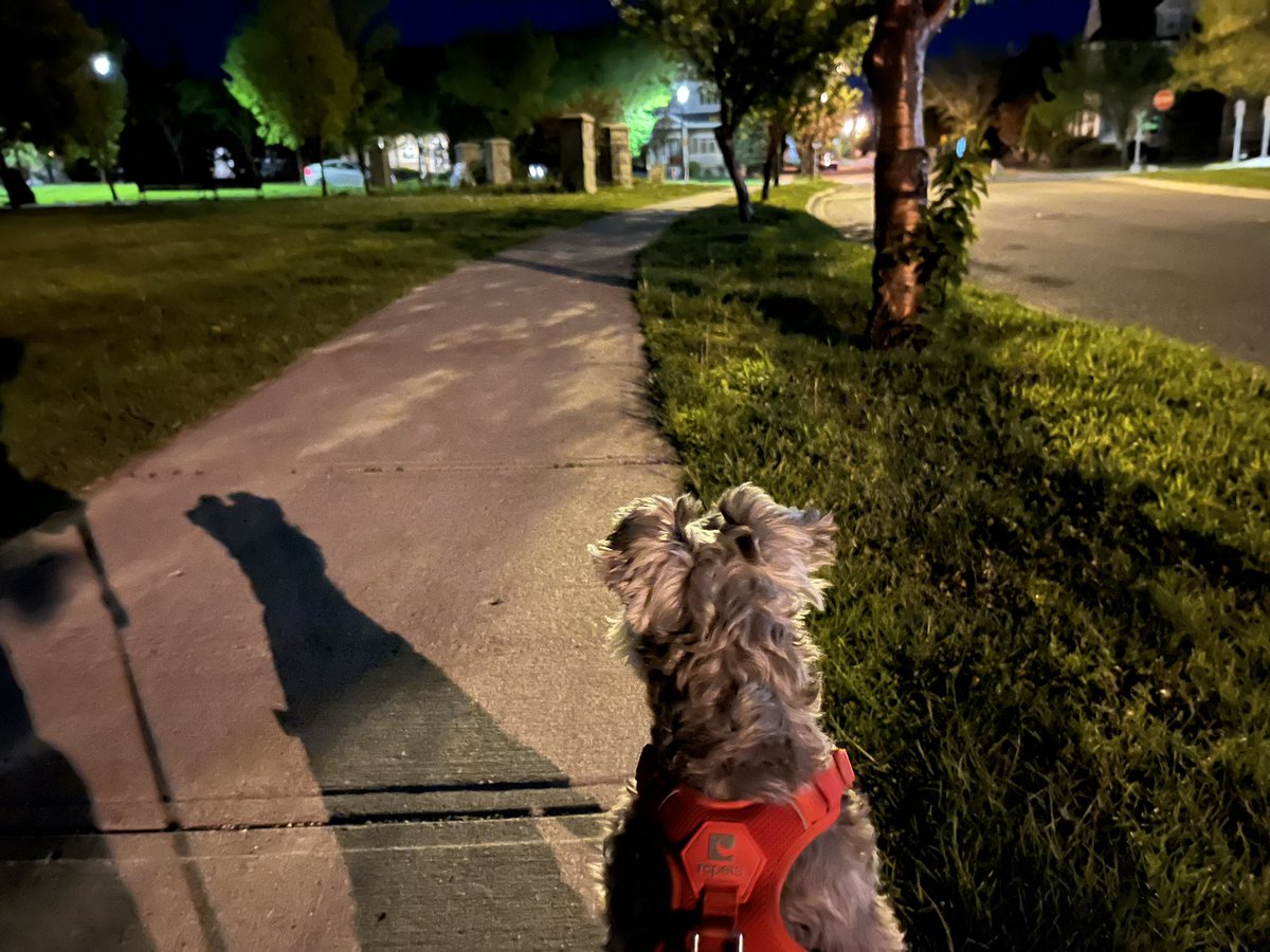 It’s a good night.