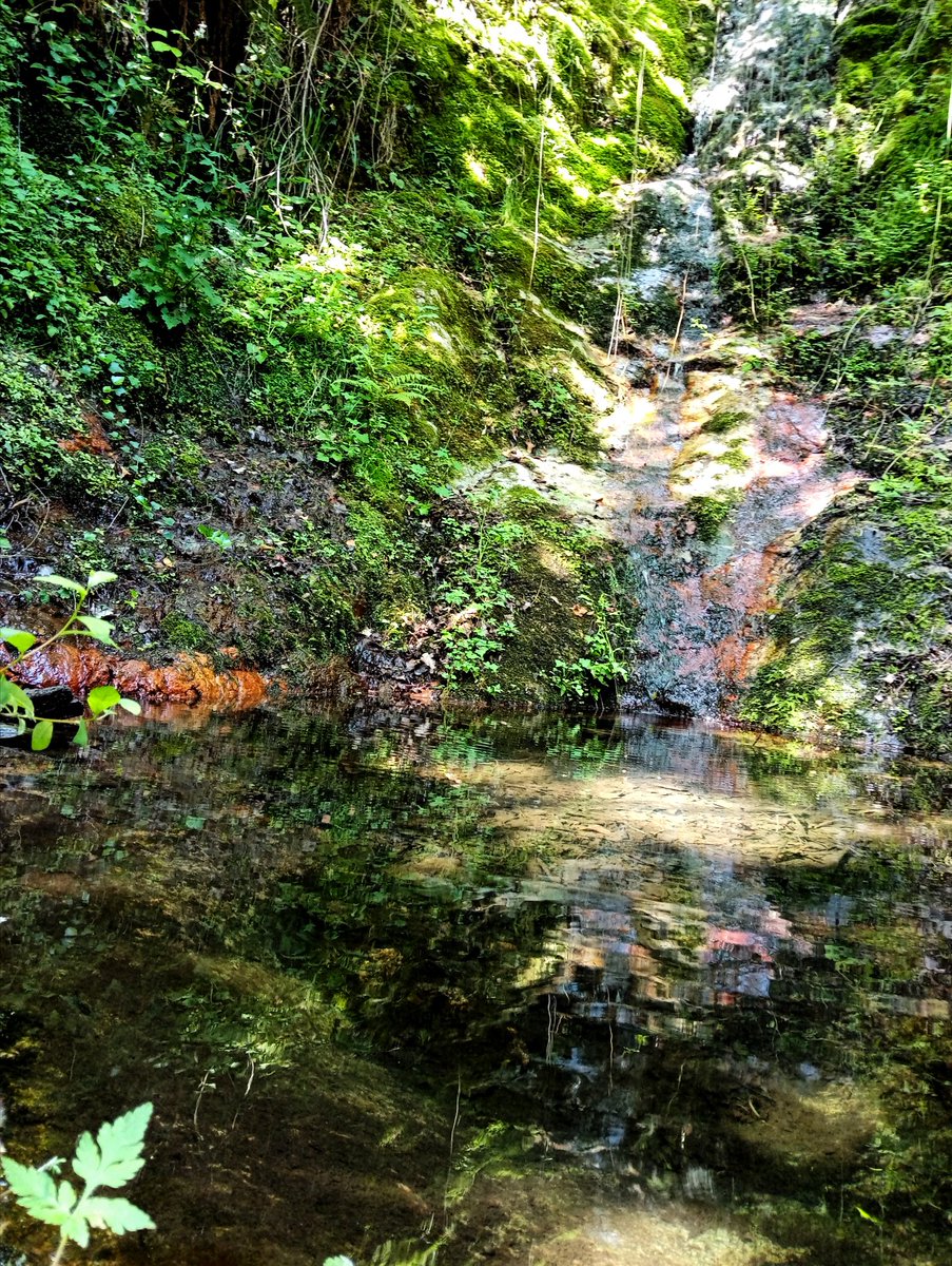 quimboi's tweet photo. Meandre del Ter
Gorg de l'Olla
Can Torra

#plantadis
#lacelleradeter https://t.co/XvV5JvO66S