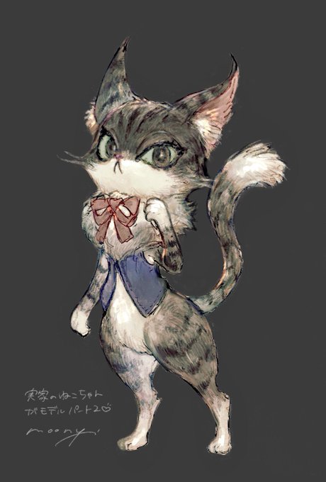 「animal focus cat」 illustration images(Latest)