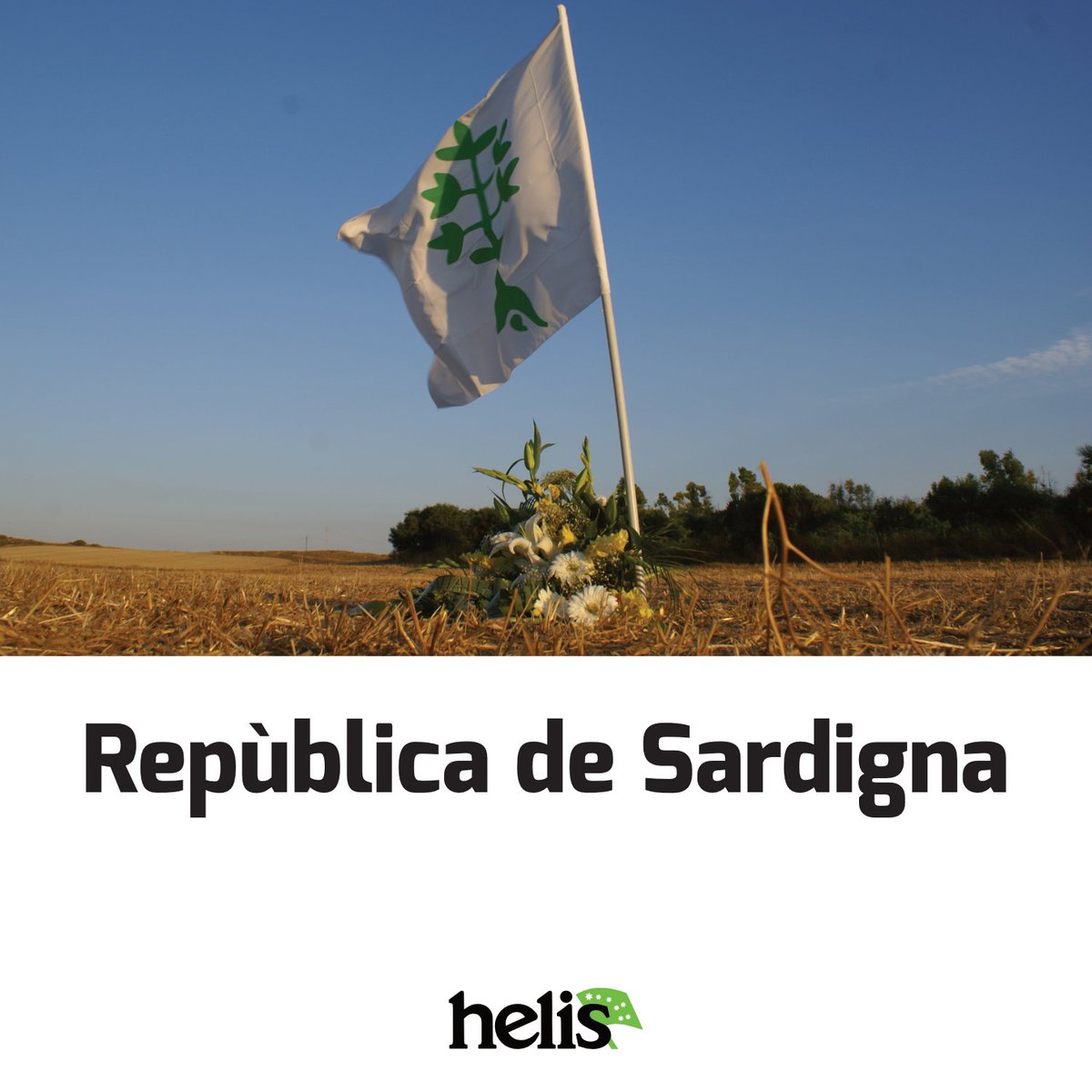 helis.blog tweet media