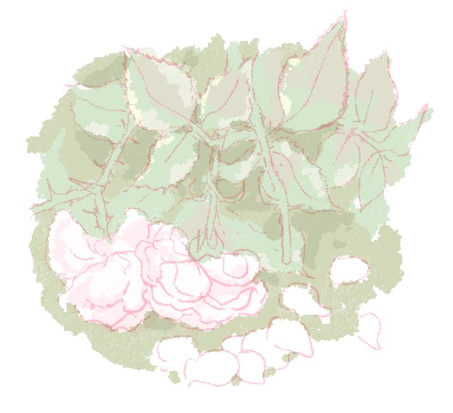「petals pink flower」 illustration images(Latest)