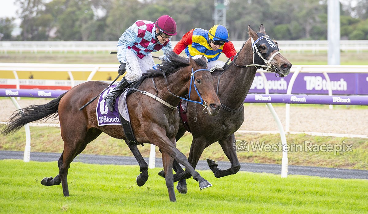 Western Racepix tweet media