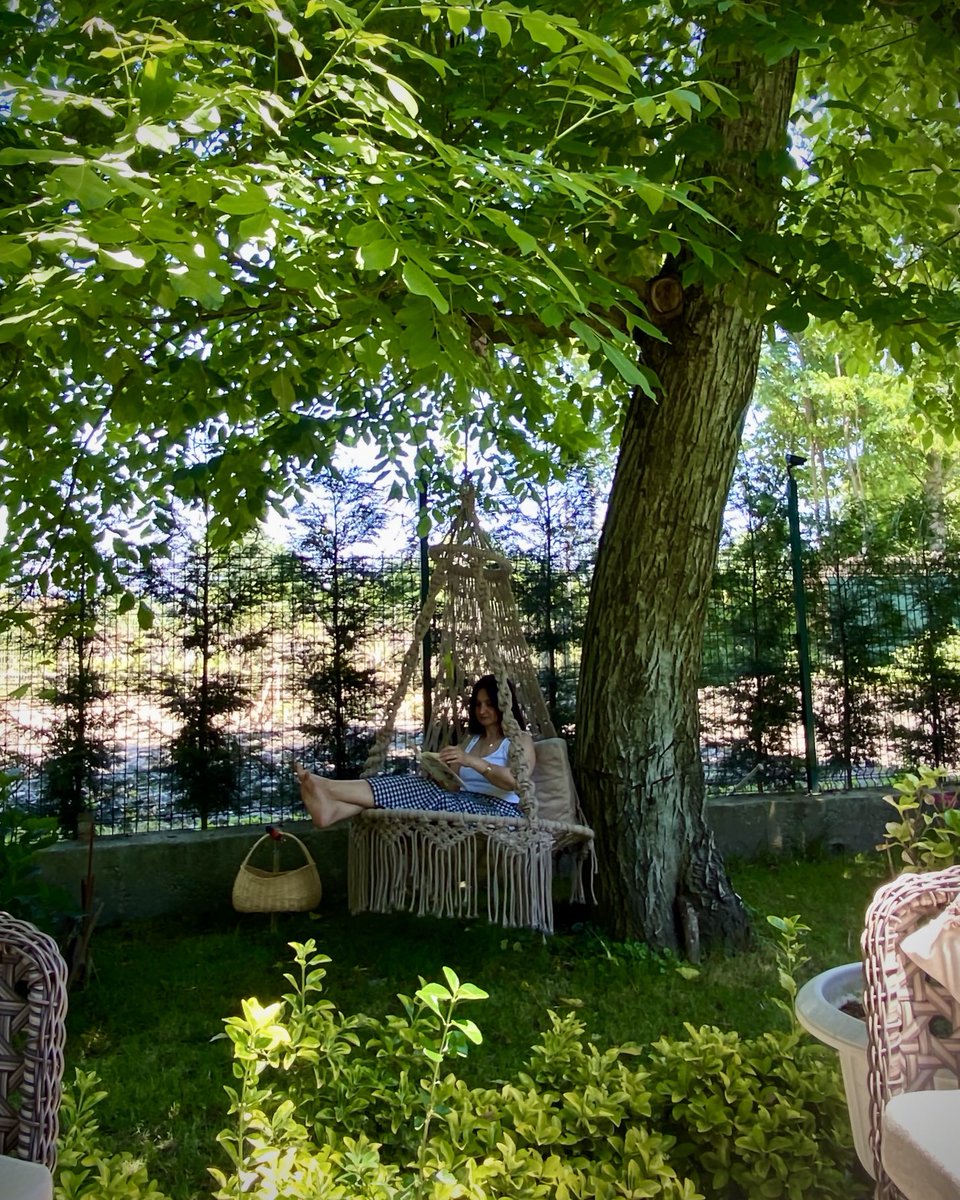 SemaCuruk's tweet photo. Günaydın🌿
Sessizlik📚 https://t.co/pRWXL1IZTk