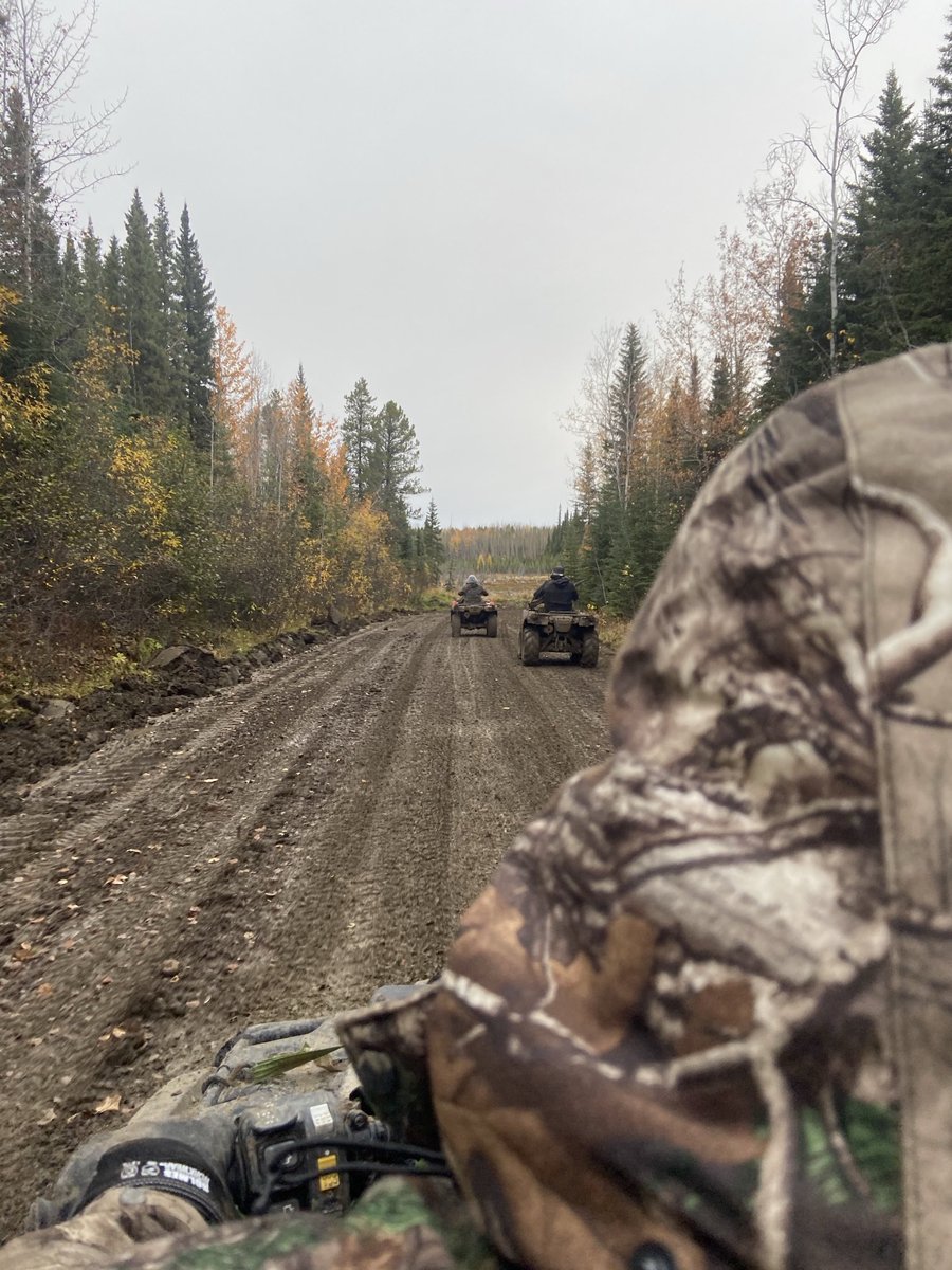 Cmon fall time  get here 🫎! I can’t wait for this again