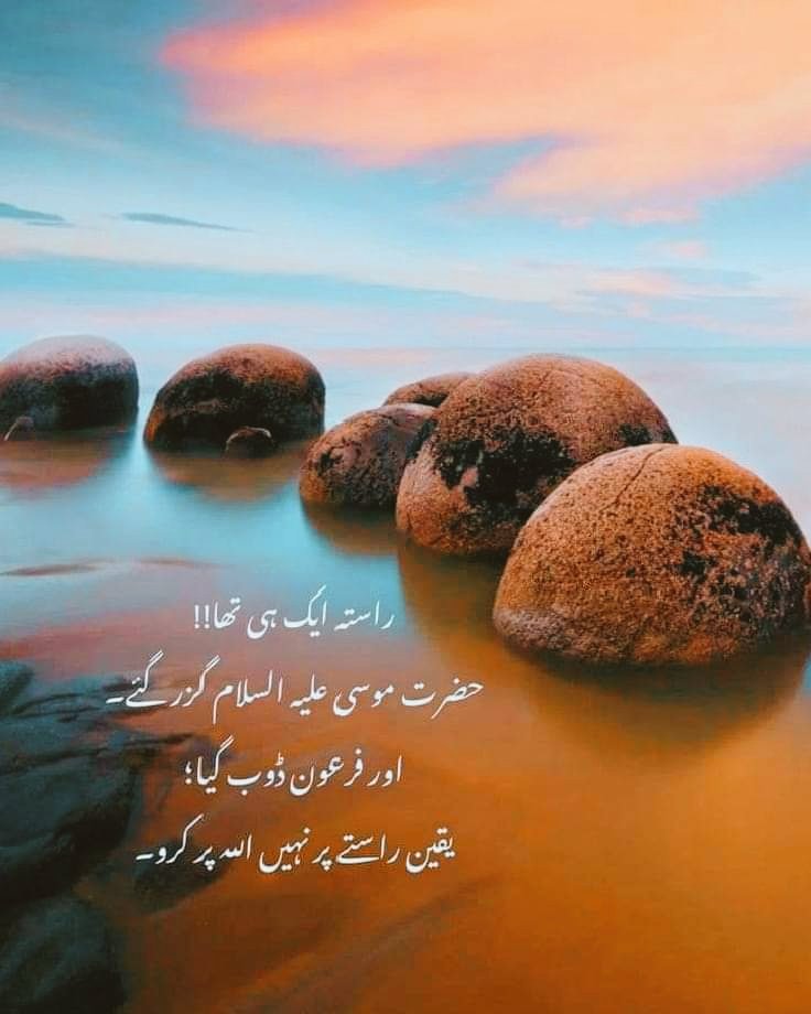 Assalam.o.Alikum
Have a nice day
#X_promo