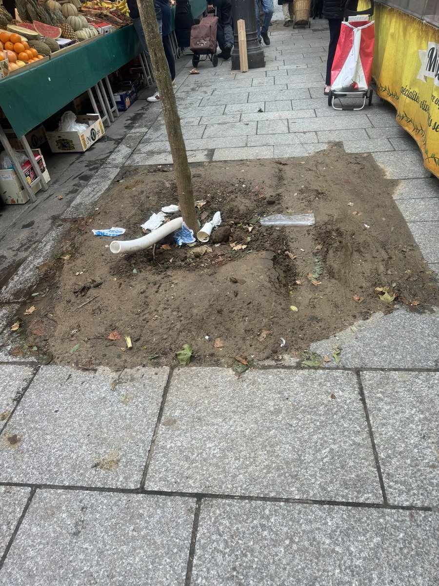 revienparis's tweet photo. 👋 @vauglin ça vous va ce genre d entretien 🌳 un peu casse gueule pour vos administrés 😱 https://t.co/3z0v4PPg3o