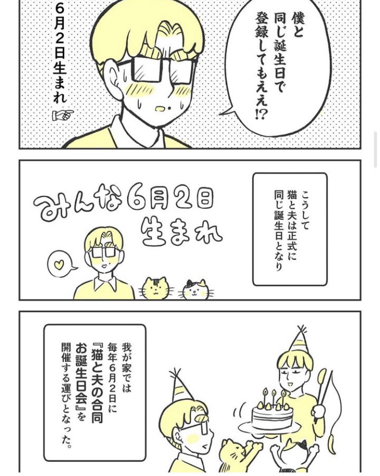 今年もこの日がやってきた!
4ちゃいになったにゃんこ達。 