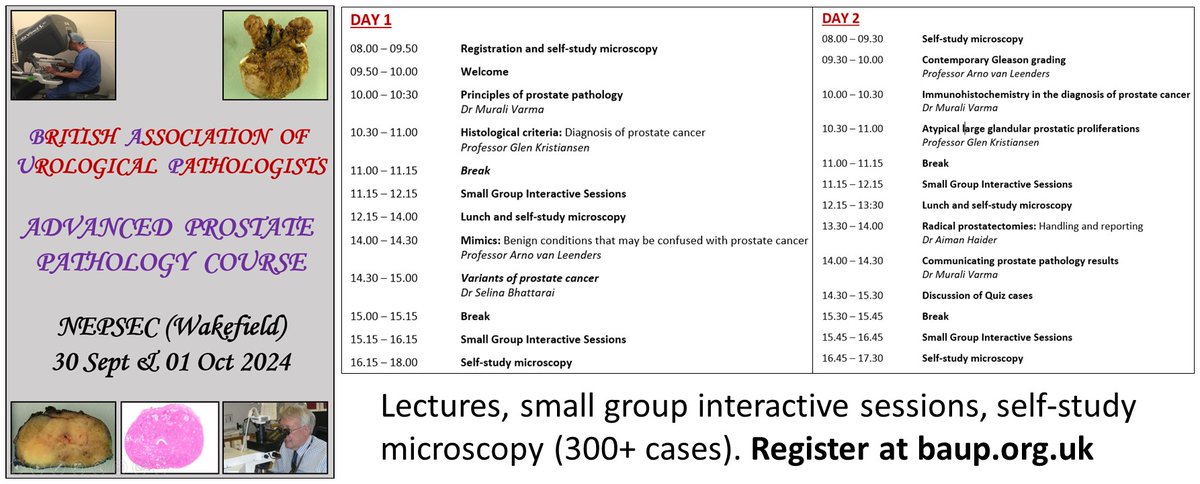 MuraliV72899596's tweet photo. Register for the on-site 2-day BAUP Advanced Prostate Pathology Course 30th Sept and 1st Oct 2024: lectures, self-study microscopy (300+ cases) and small group sessions. Overseas guest faculty: Professors Glen Kristiansen (Germany) and Arno van Leenders (the Netherlands). https://t.co/cdhlBTK5jd