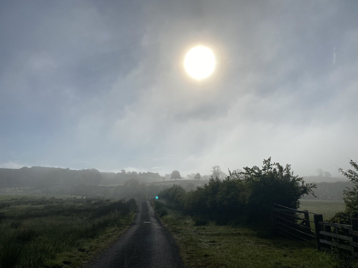 CeliaRidley1's tweet photo. North Tyne valley with the thirteenth fogbow I’ve seen in the last six years right over our home.

Happy Sunday morning everyone. https://t.co/JyHddPlgab