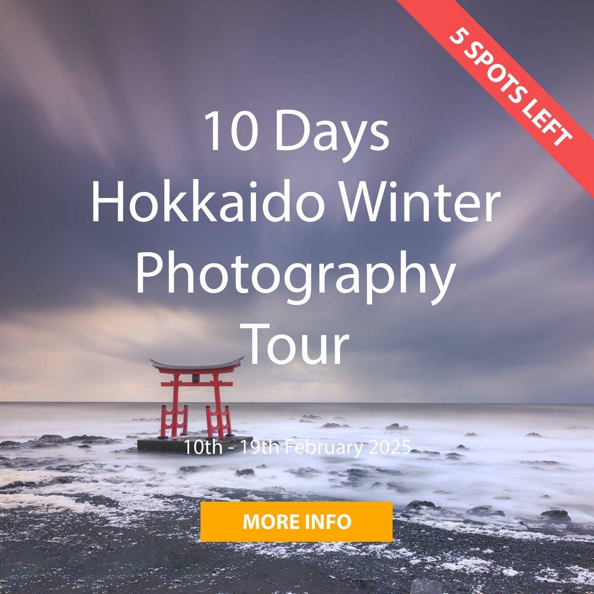 francisansing.eth | Fine Art Landscape Photography tweet media