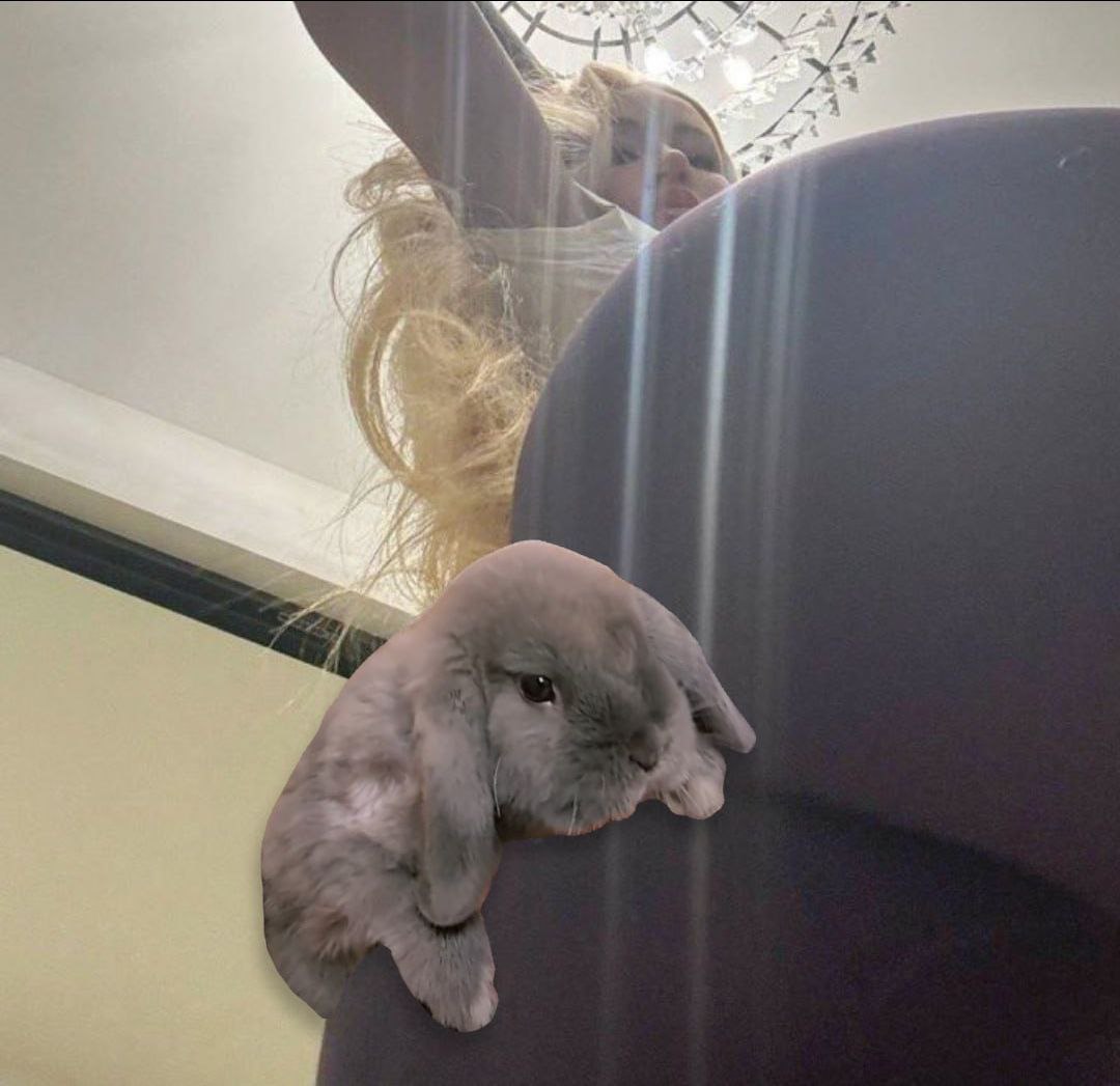 MaxFulter's tweet image. Check $smokey, CTO rn, good vibe good meme