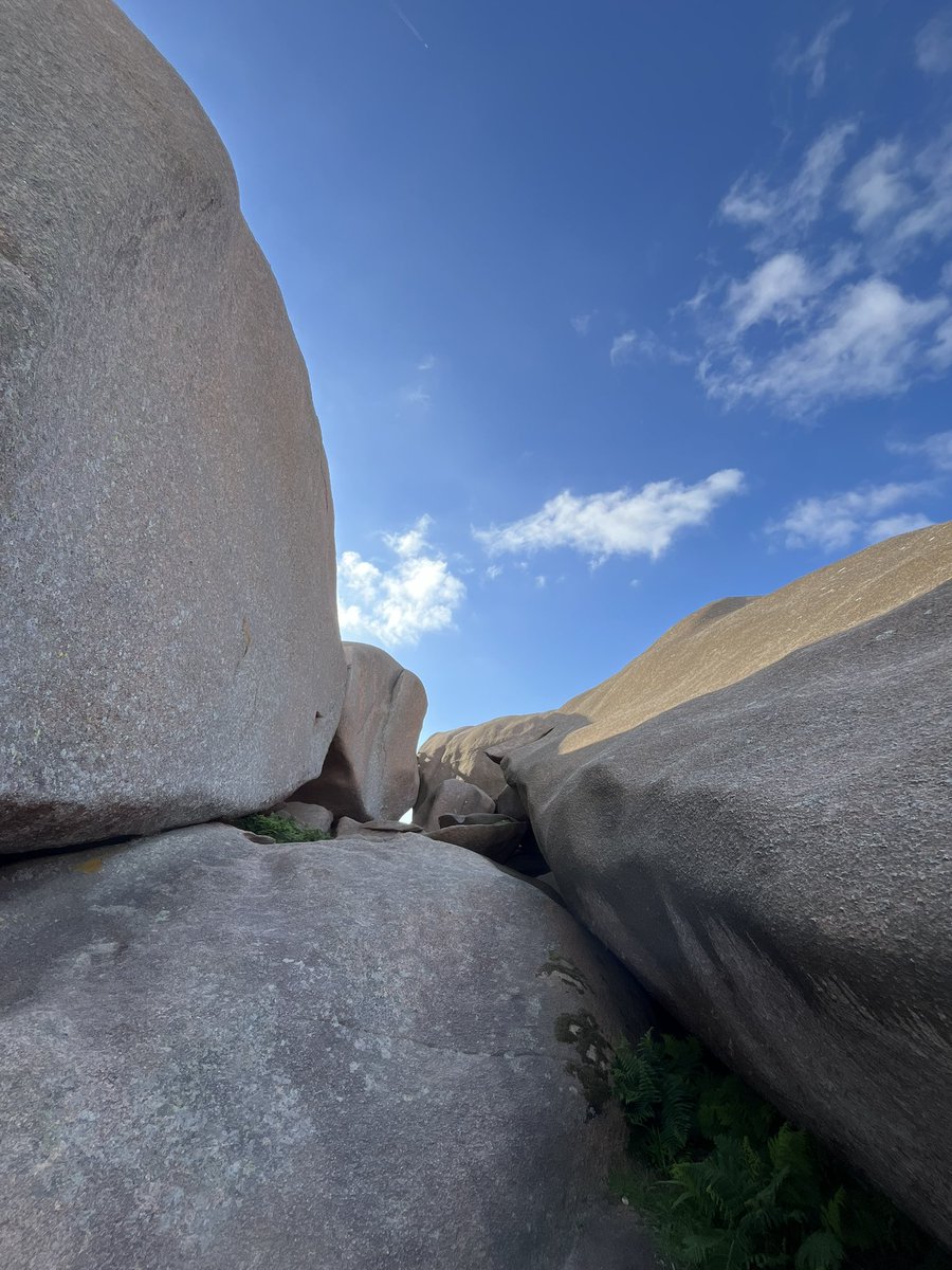 ChicheArnaud's tweet image. #Tregastel #Renote