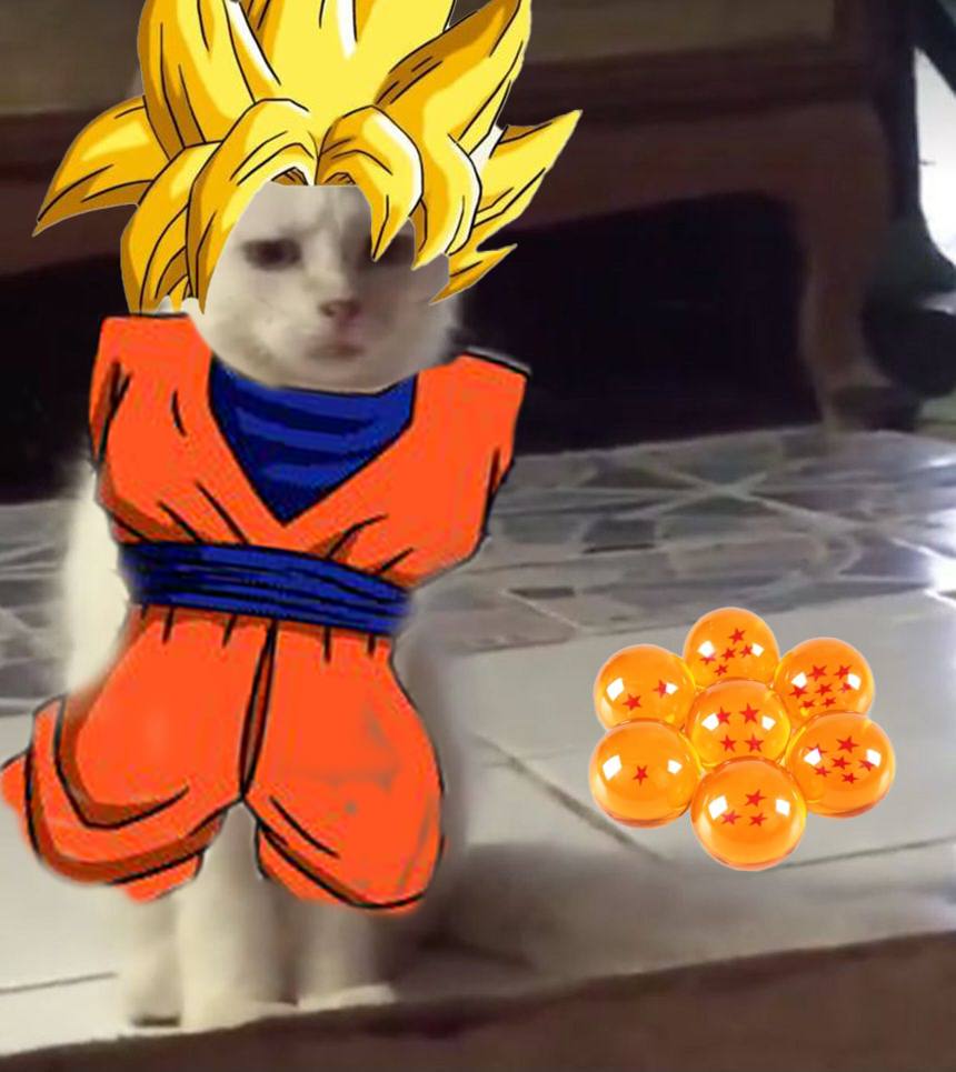 Bruhcatonsol's tweet photo. HIGHERRRRRRRR bruh. https://t.co/PjgUuTNPZc