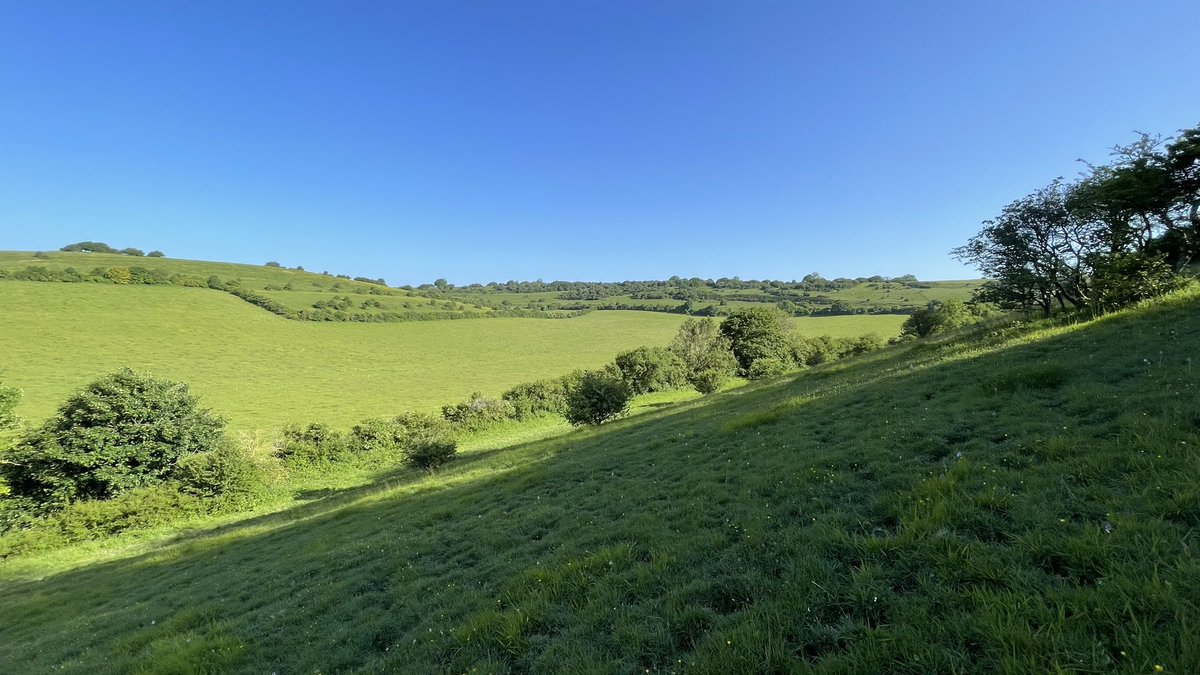 starofstage's tweet photo. I'd be lying if I said it was warm. 
But it's very pleasant spotting orchids on the Downs this morning. 
#orchids #thedowns https://t.co/nZFaoANjP0