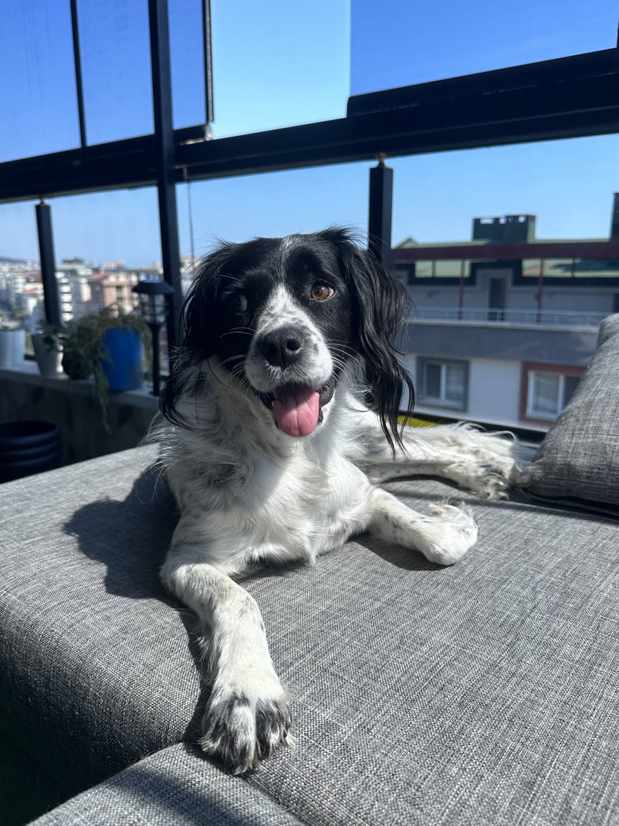 Annisiyle balkunda pazar kaffesi keyfiii