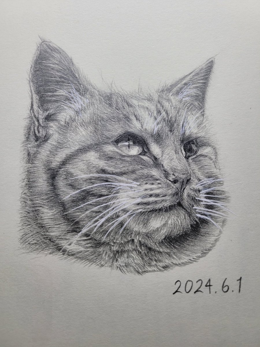 bomtolsee's tweet photo. 2022 . 7 . 8                              2024 . 6. 1
이 사이에 그린게 없었는데... 실력이 늘었다...? https://t.co/myzn4UQpIo